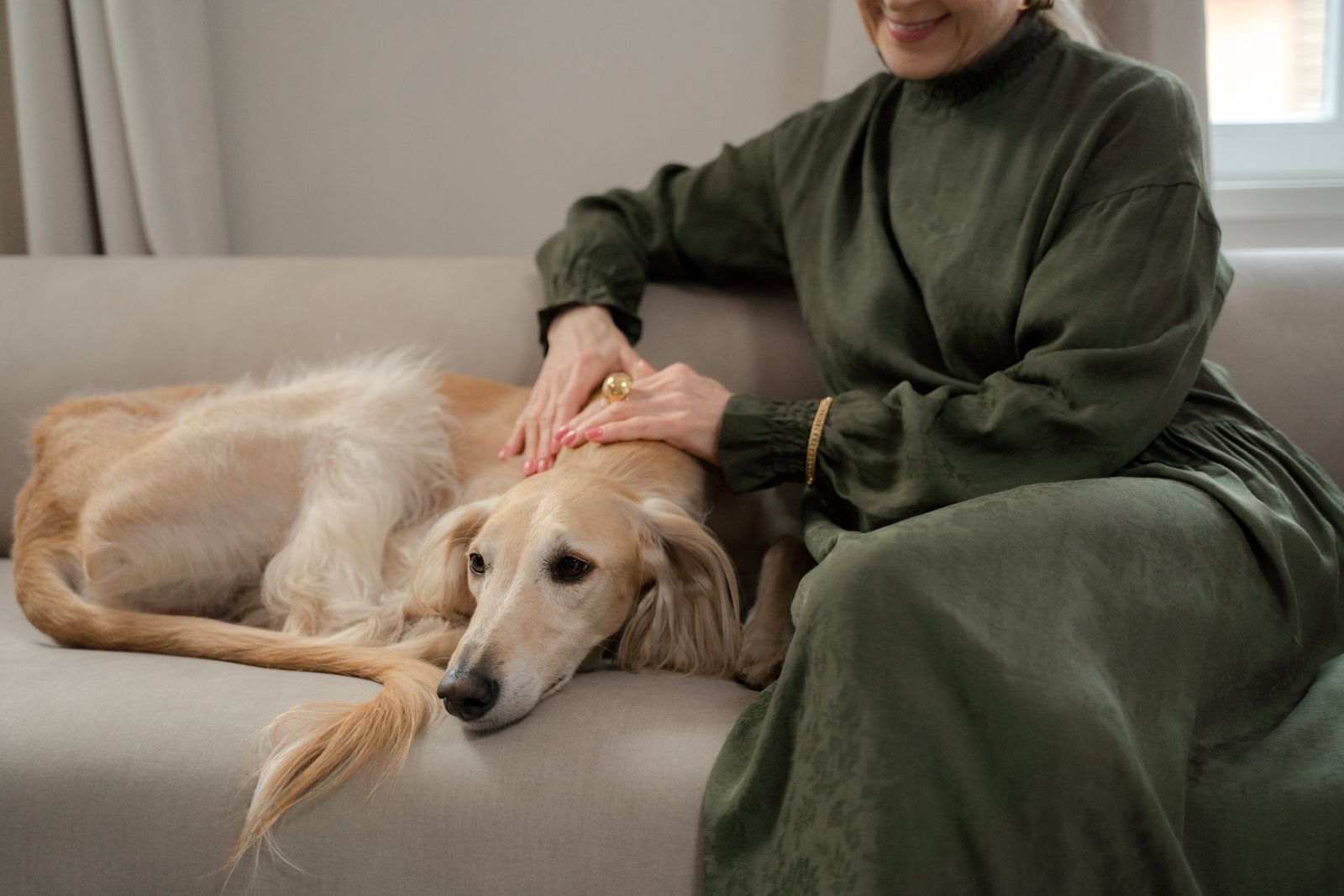 A happy dog with its owner at home