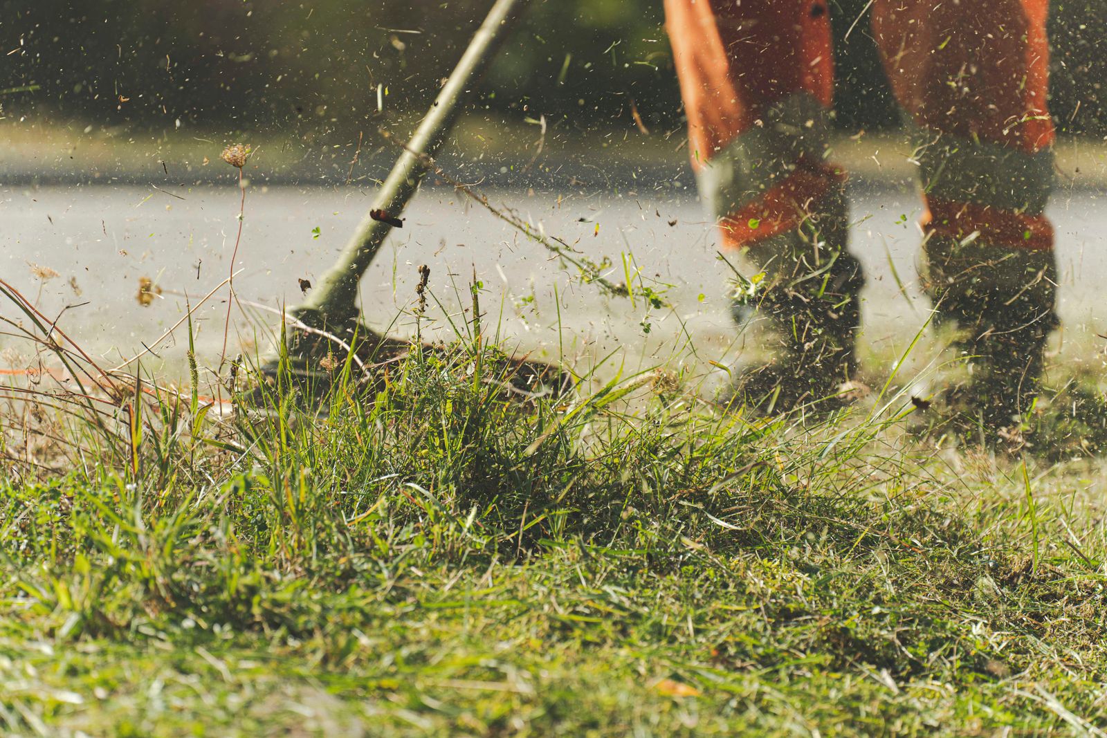 Robot Lawn Mowers Compared: Segway Navimow vs Eufy vs Ecovacs vs Mammotion — Which Fits Your Yard?