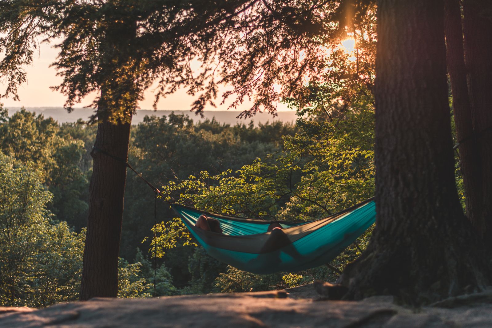 Person lying in a camping hammock strung between two trees in daylight