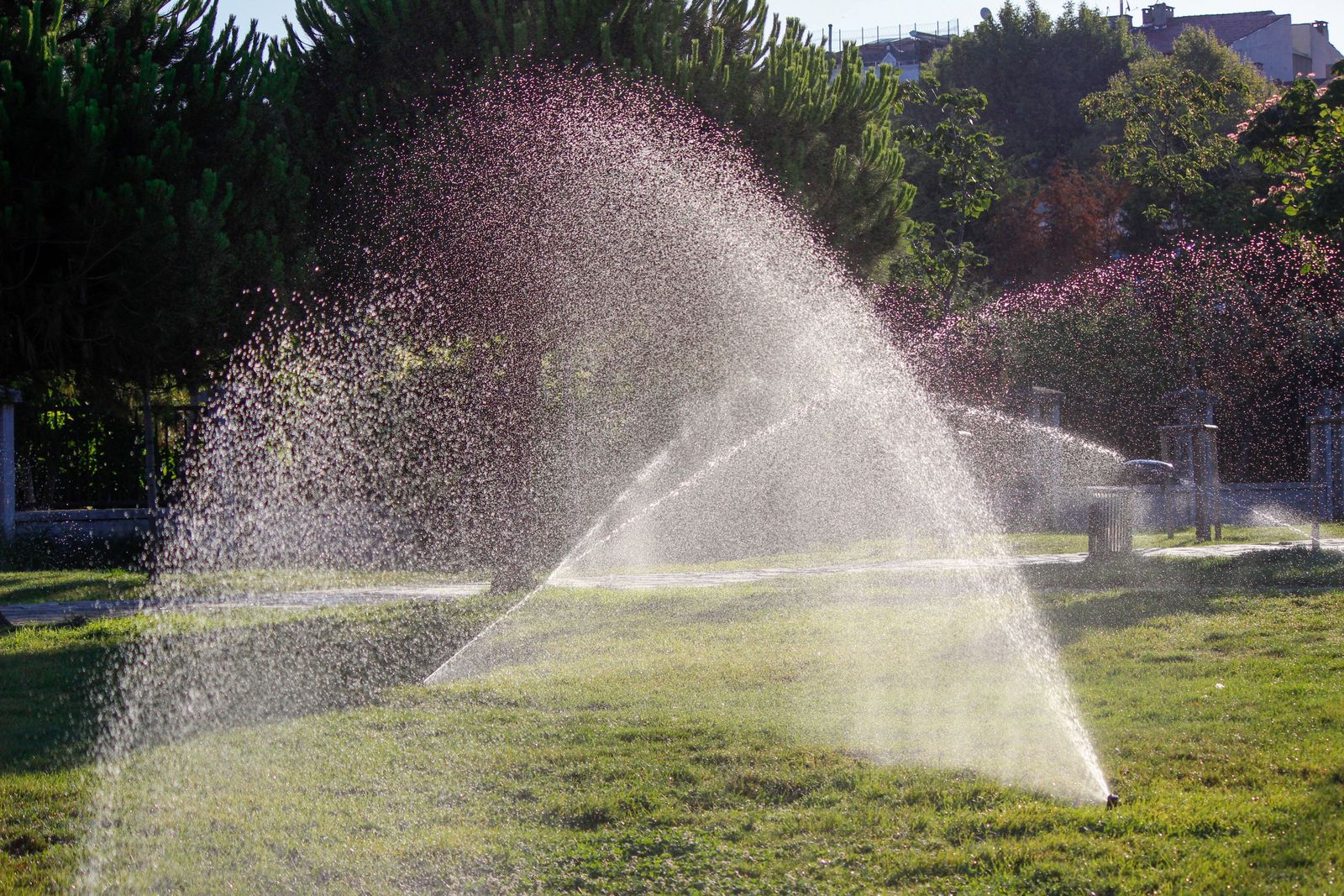 Water sprinklers spraying across a green lawn