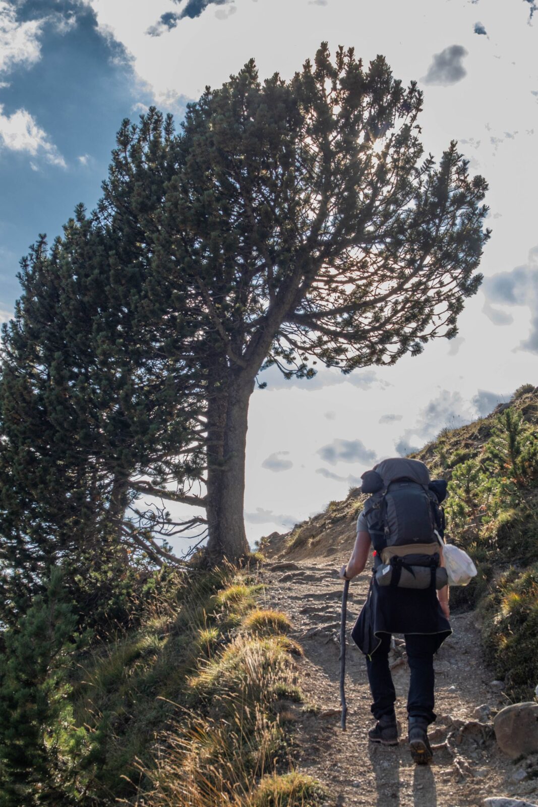 Hiker wearing a waterproof backpack on a rainy trail