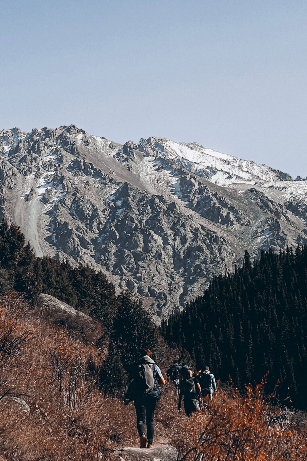 A fast, light hiker using slim trekking poles on a trail