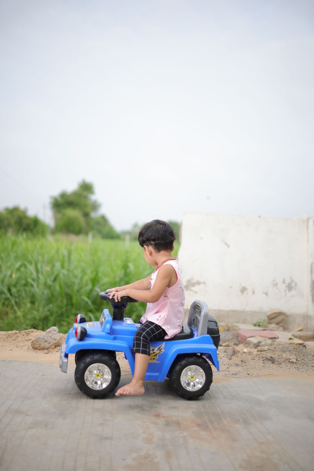 Toddler sitting in a blue push ride-on toy car on grass