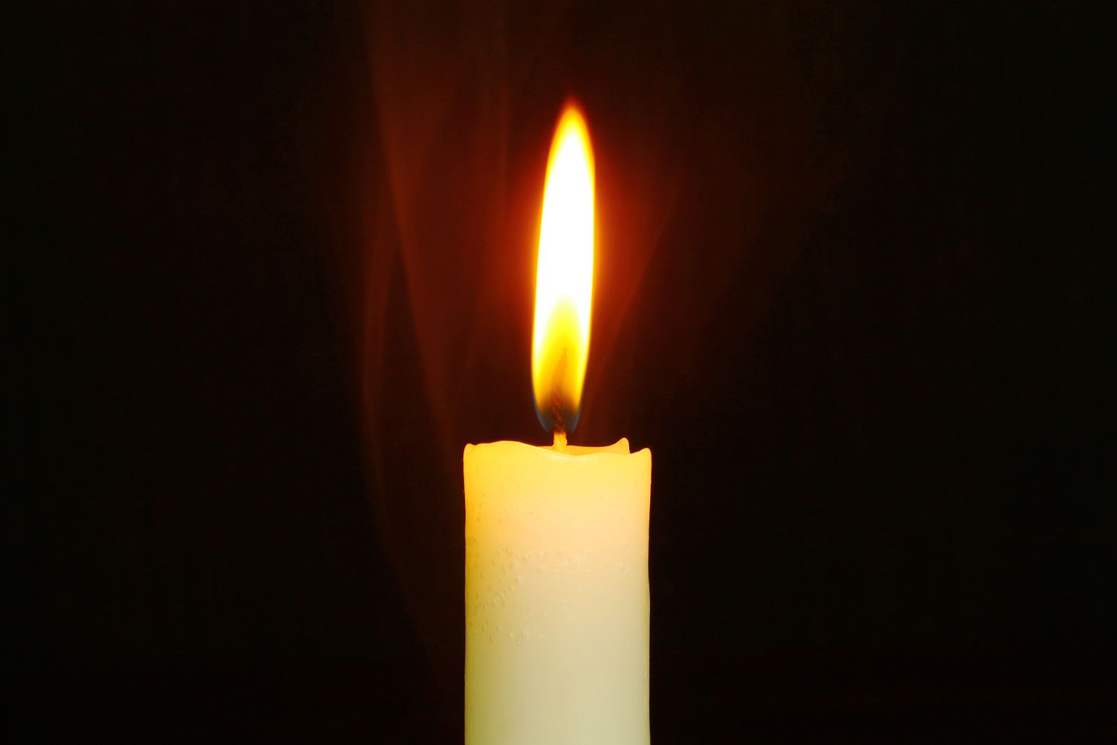 Patio Mosquito Control: Thermacell vs. Bug Zappers vs. Citronella Candles (One of These Doesn’t Work)
