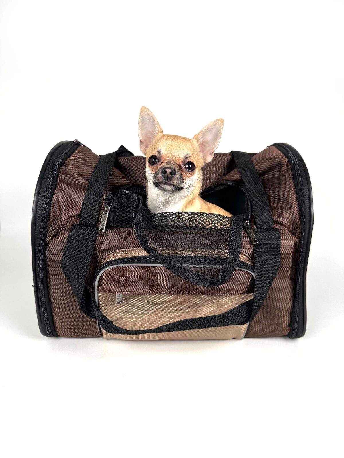 Dog Travel Carrier Comparison: Sling vs. Backpack vs. Rolling Carrier for Small Dogs