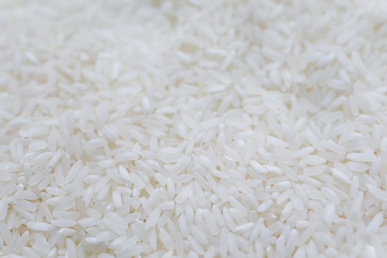 Bowl of perfectly cooked fluffy white rice with a wooden paddle