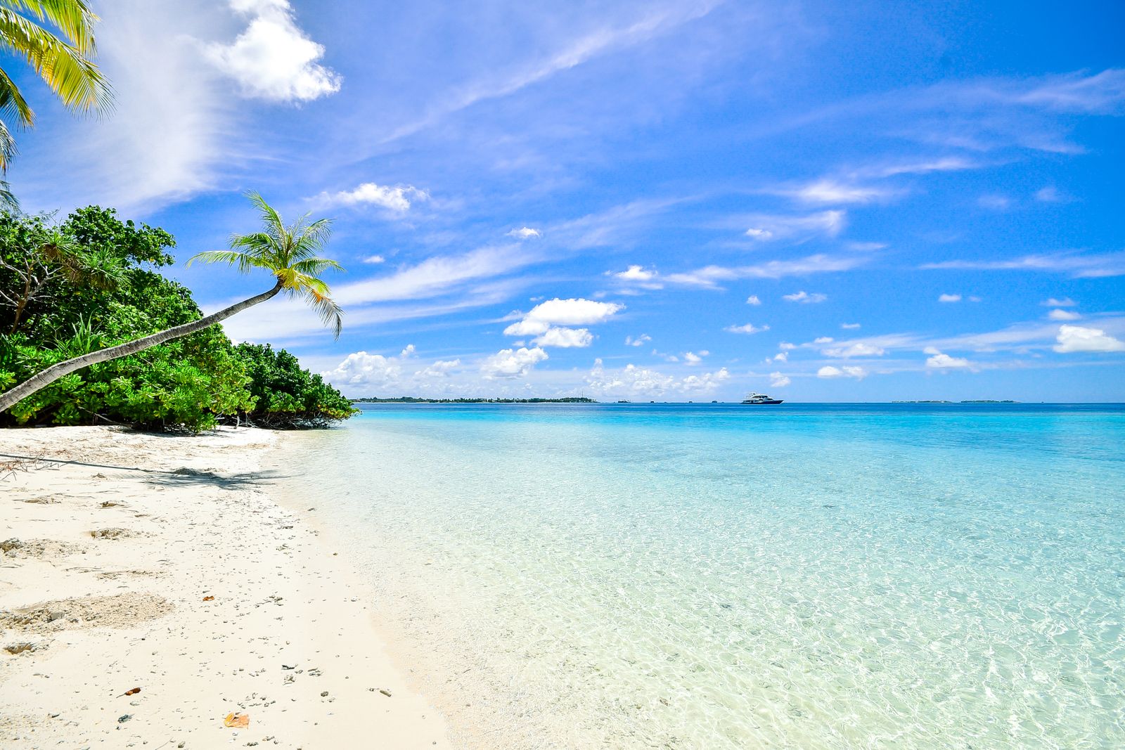 Which Beach Chair Is Best for Your Beach Day? Tommy Bahama vs. RIO vs. YETI vs. Helinox