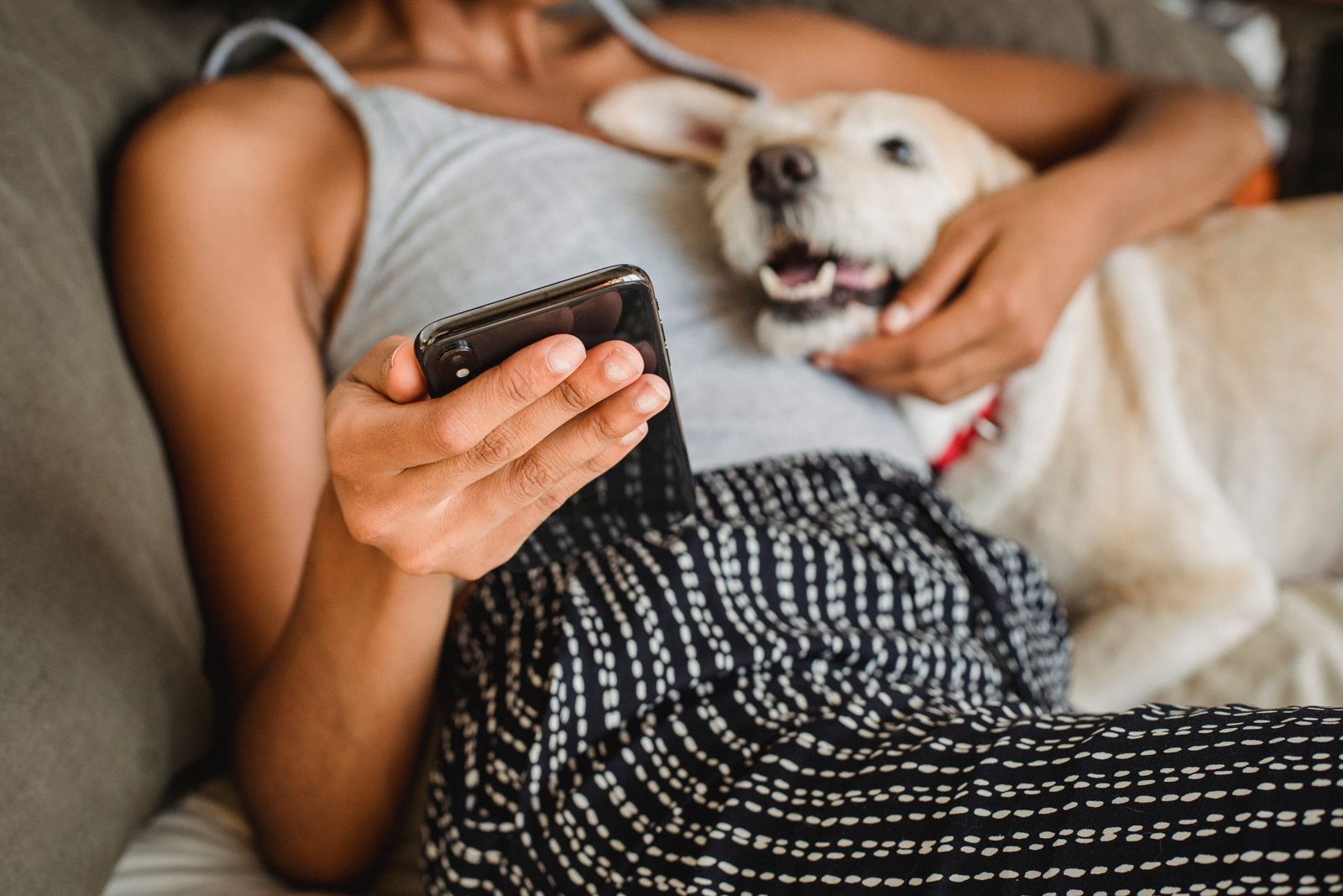 A person checking a live video feed of their dog on a smartphone