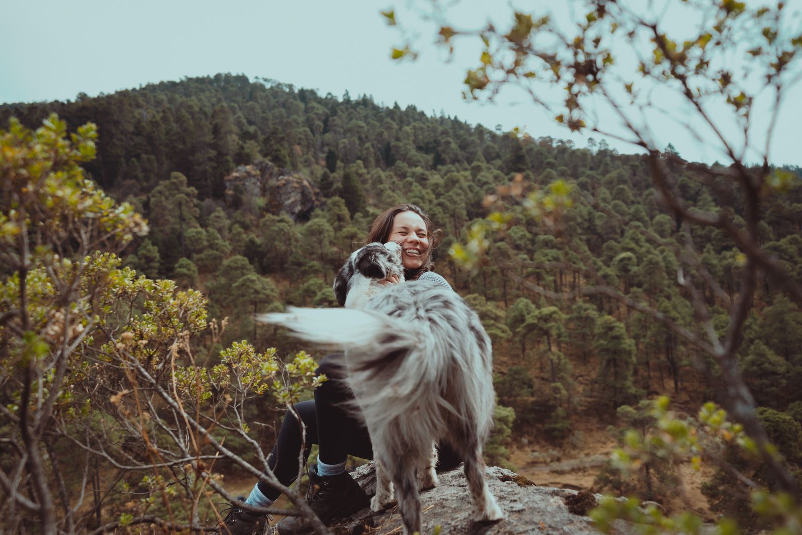 A dog owner spending time with their mixed-breed dog