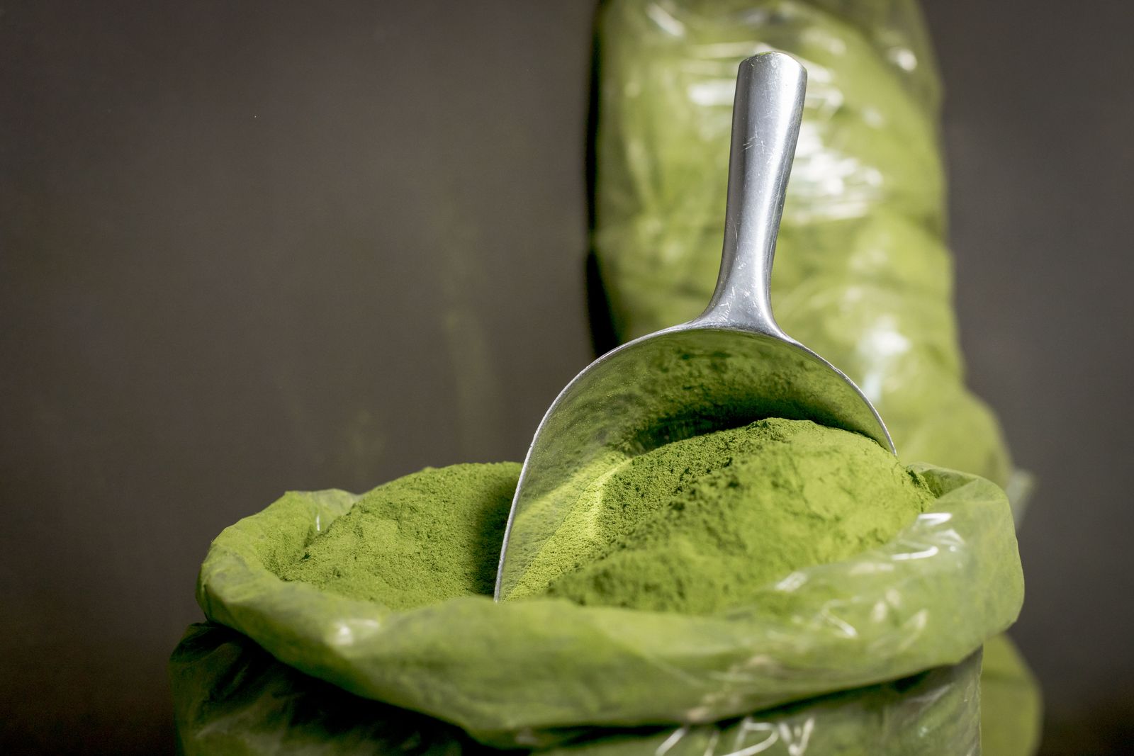 A scoop of protein powder lifted from a tub over a glass of milk