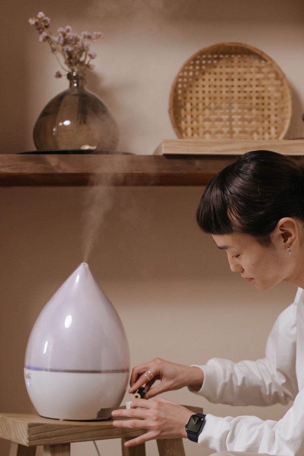 Midea Cube vs. Frigidaire vs. hOmeLabs: Which 50-Pint Dehumidifier Should Dry Your Basement?