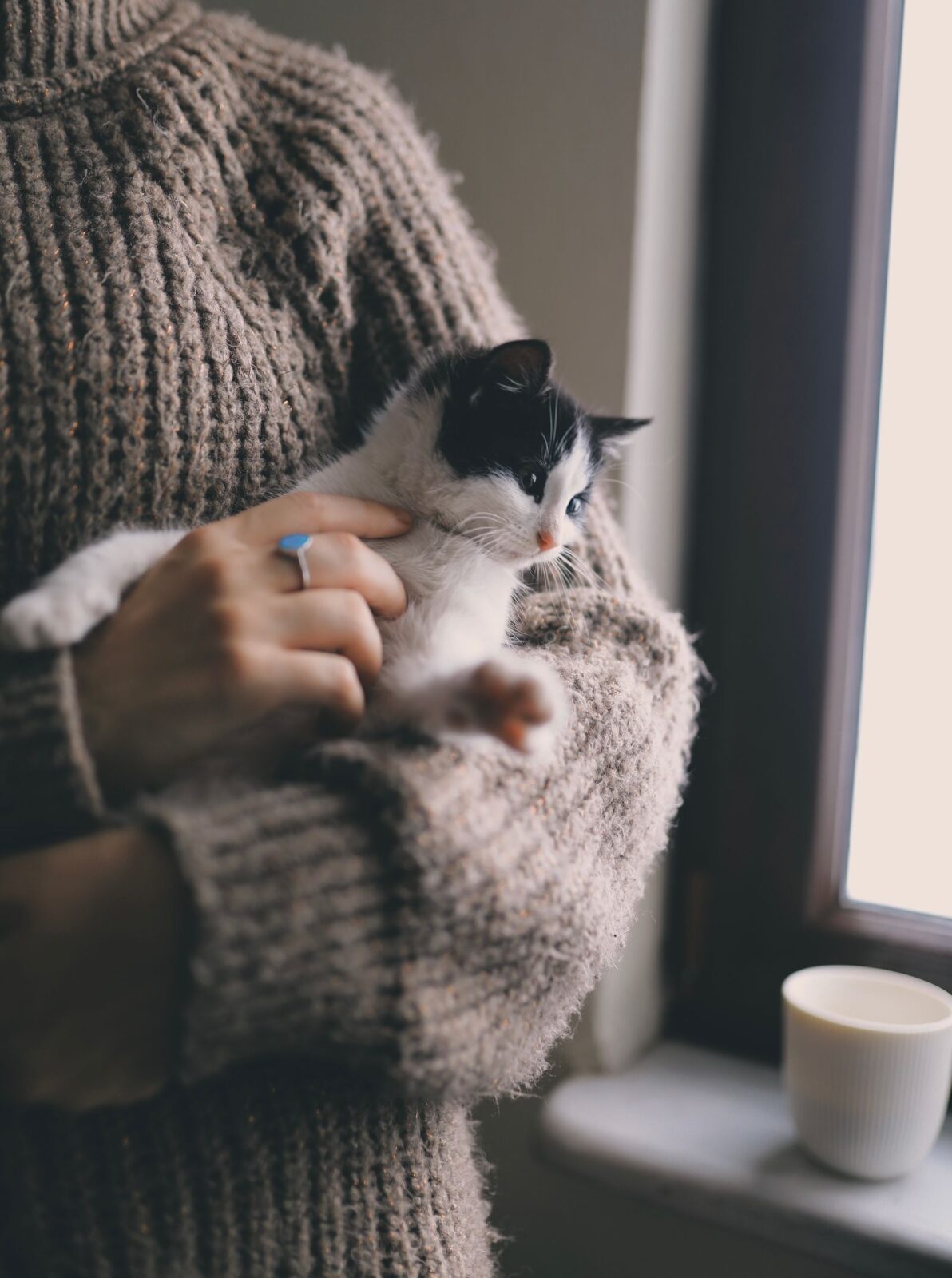 Person carrying a calm cat, ready to place it in a carrier