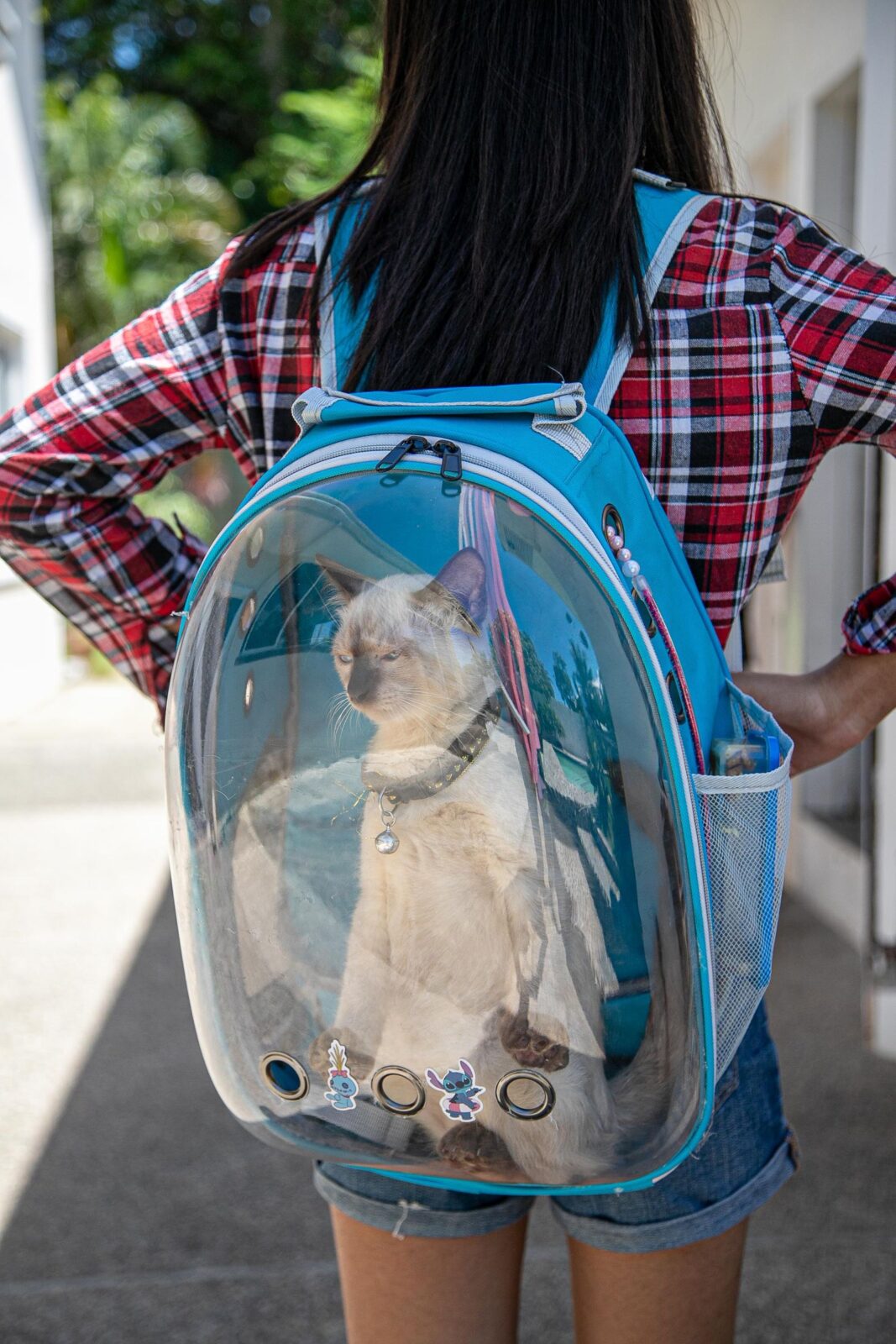 Woman carrying a cat in a backpack-style pet carrier