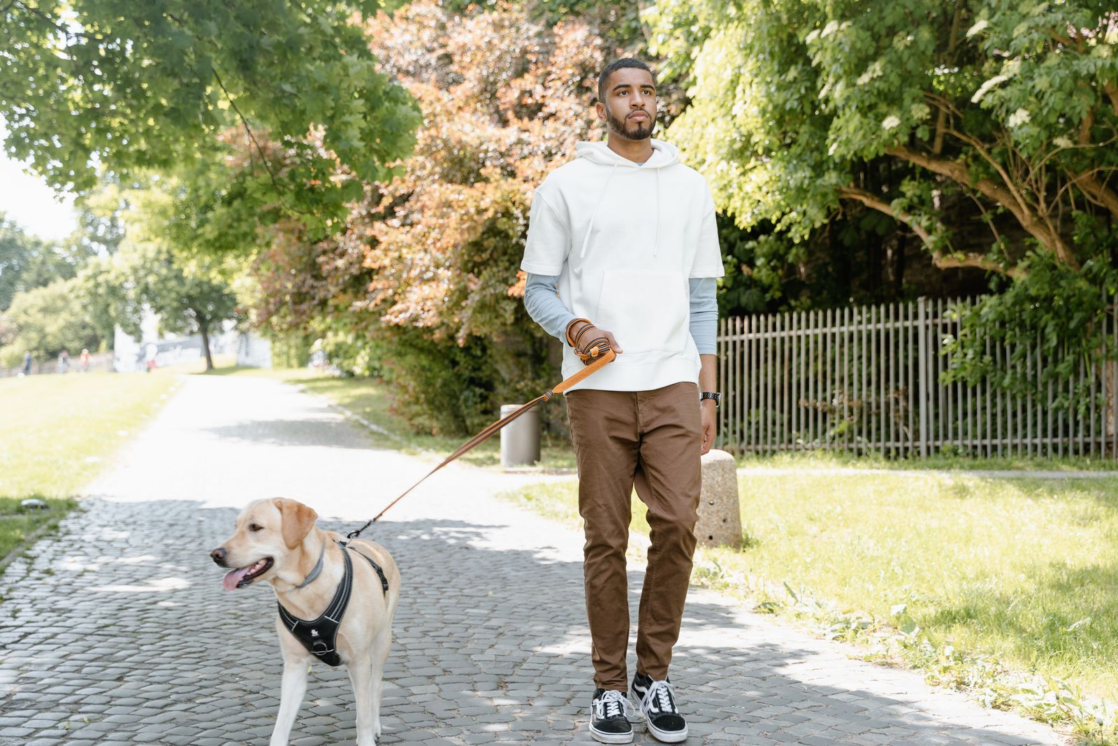 Leash Choice Is a Safety Call — Trainers Explain Why