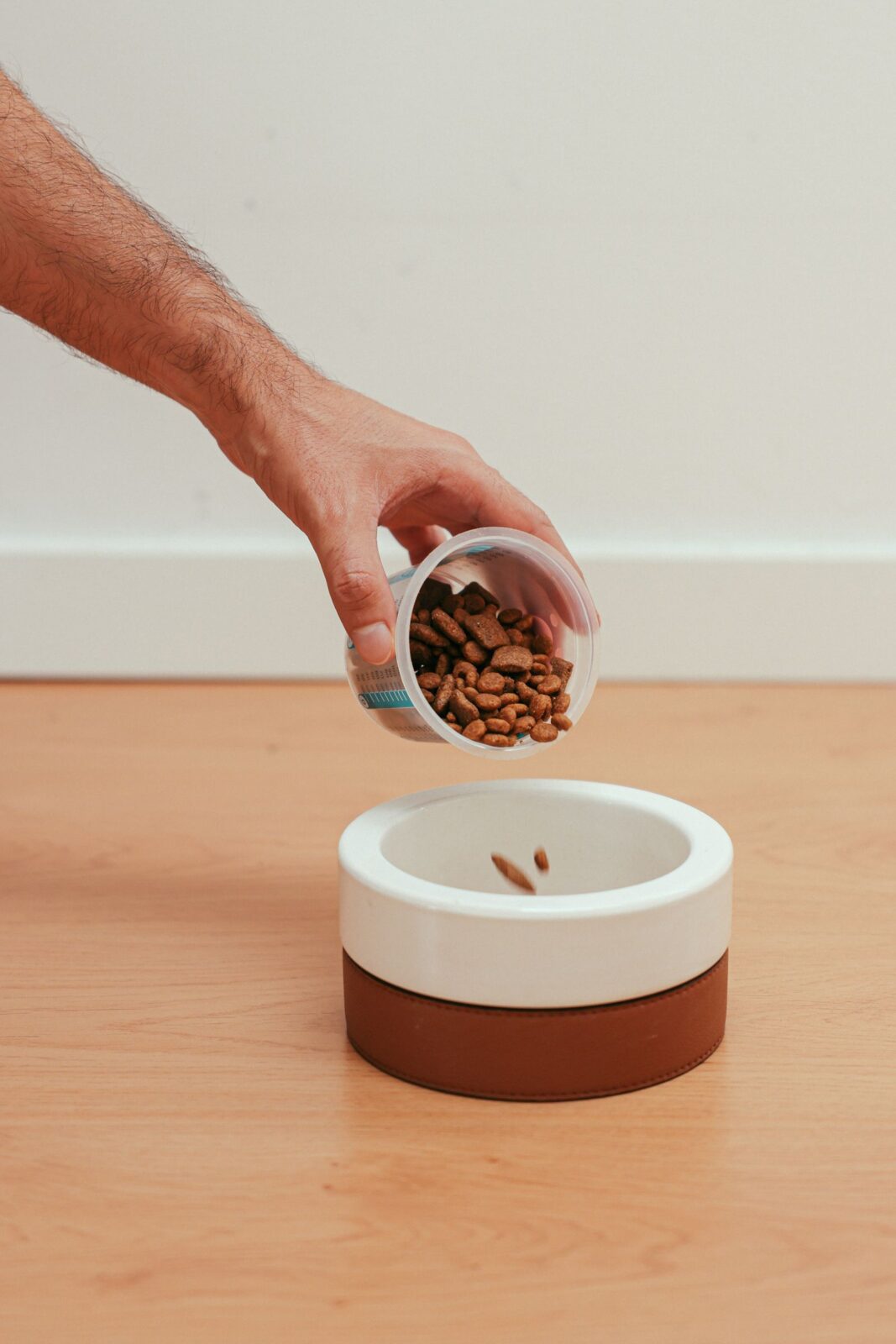 Bowl of fresh dog food with whole cooked ingredients