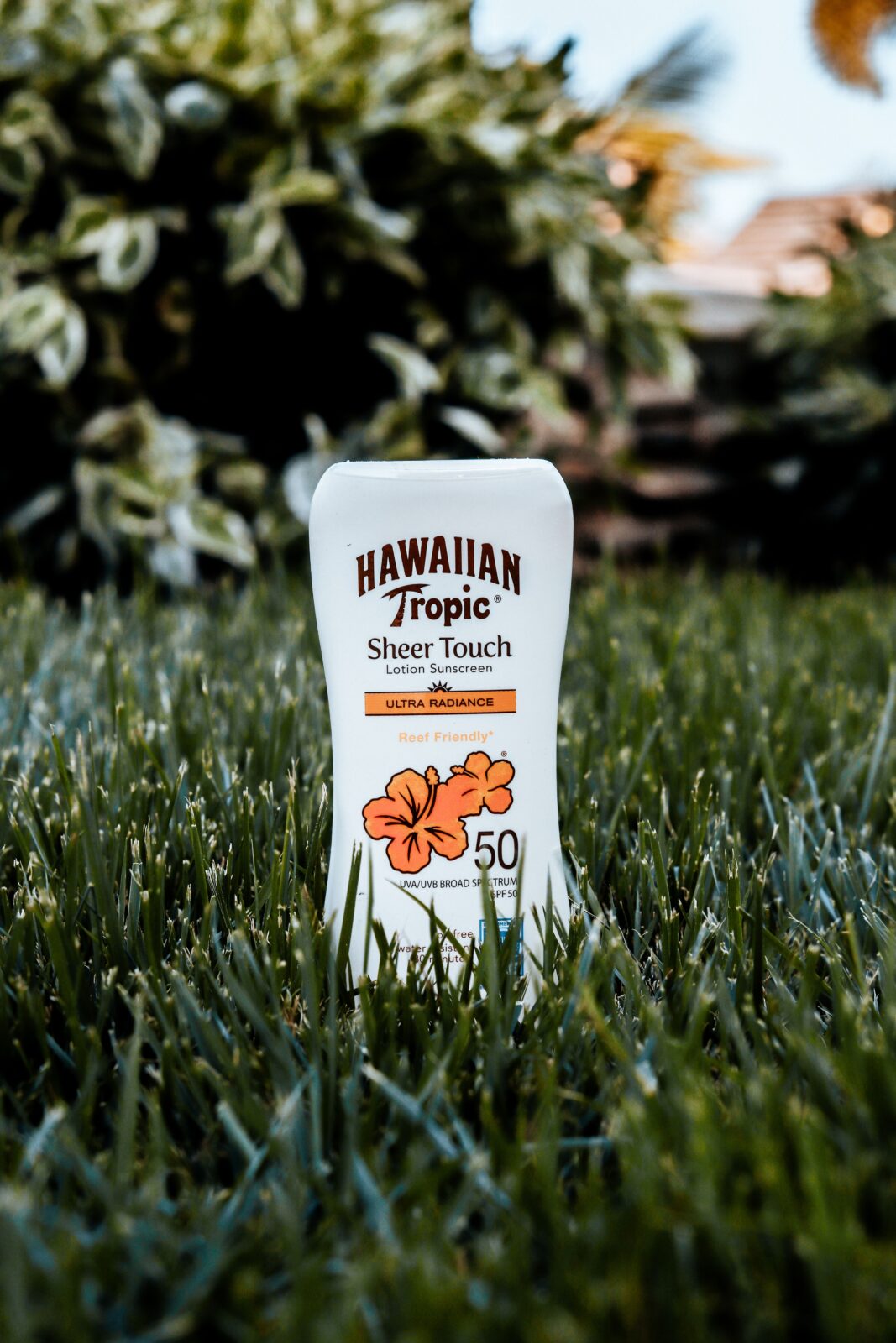 Sunscreen bottle standing outdoors on grass