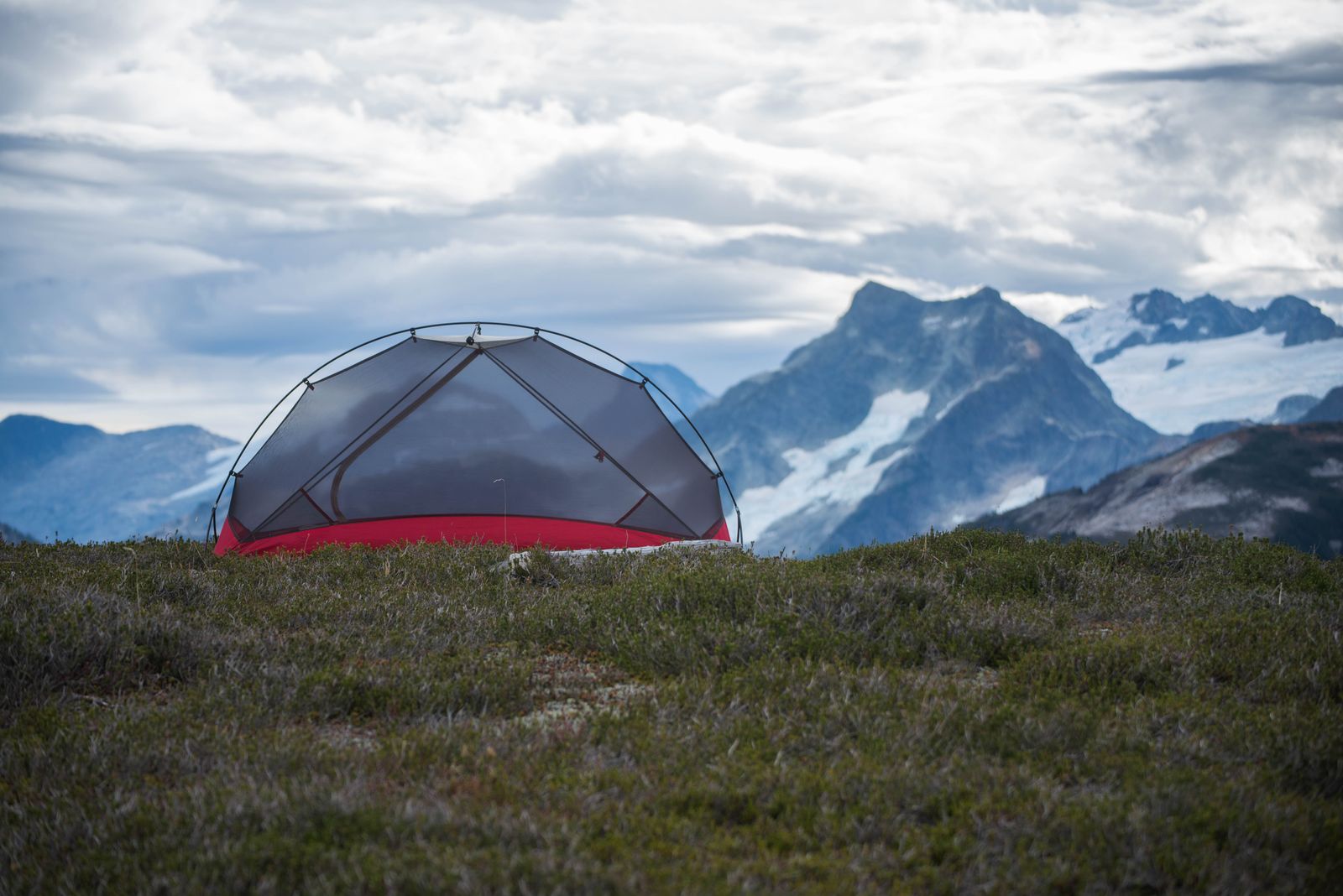 Off the Ground for Good: Comparing Camping Cots from Coleman, ALPS Mountaineering, and TETON Sports
