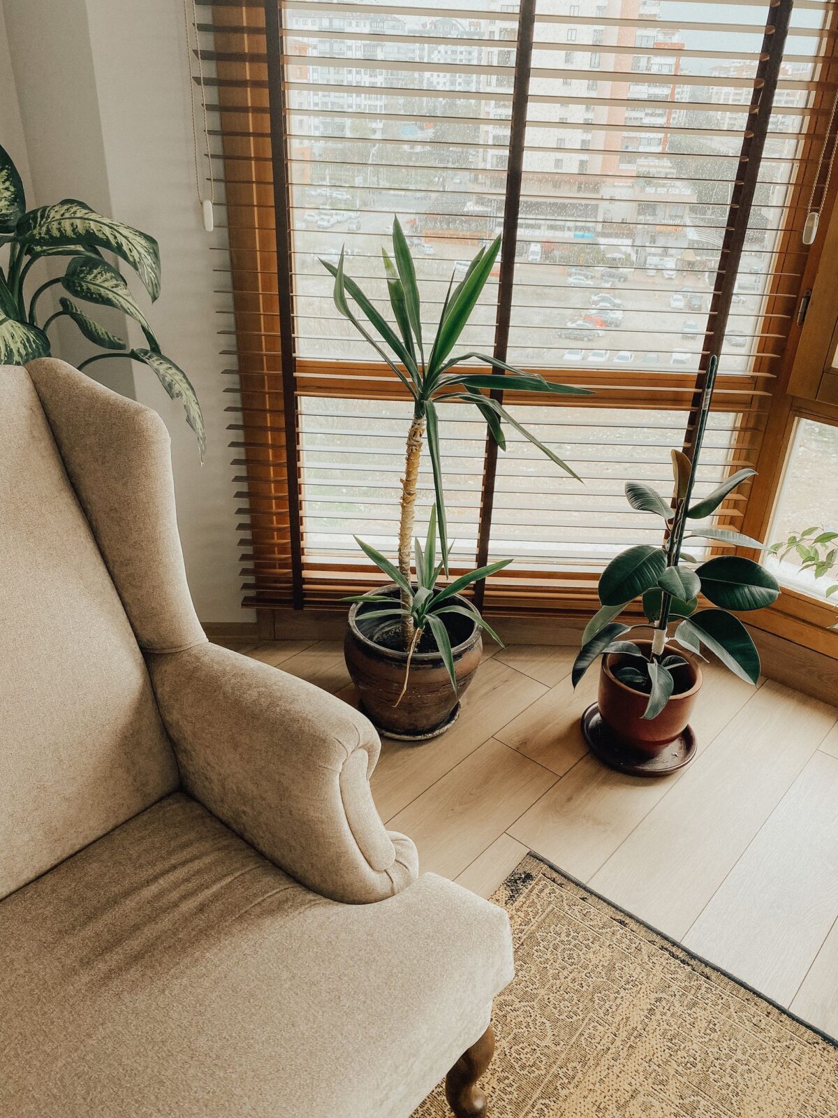 Furnace Filter Types Compared: Pleated vs. HEPA-Level vs. Electrostatic