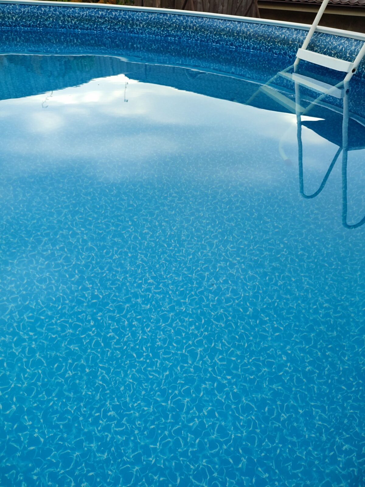 Round above-ground backyard swimming pool with a ladder in a garden setting