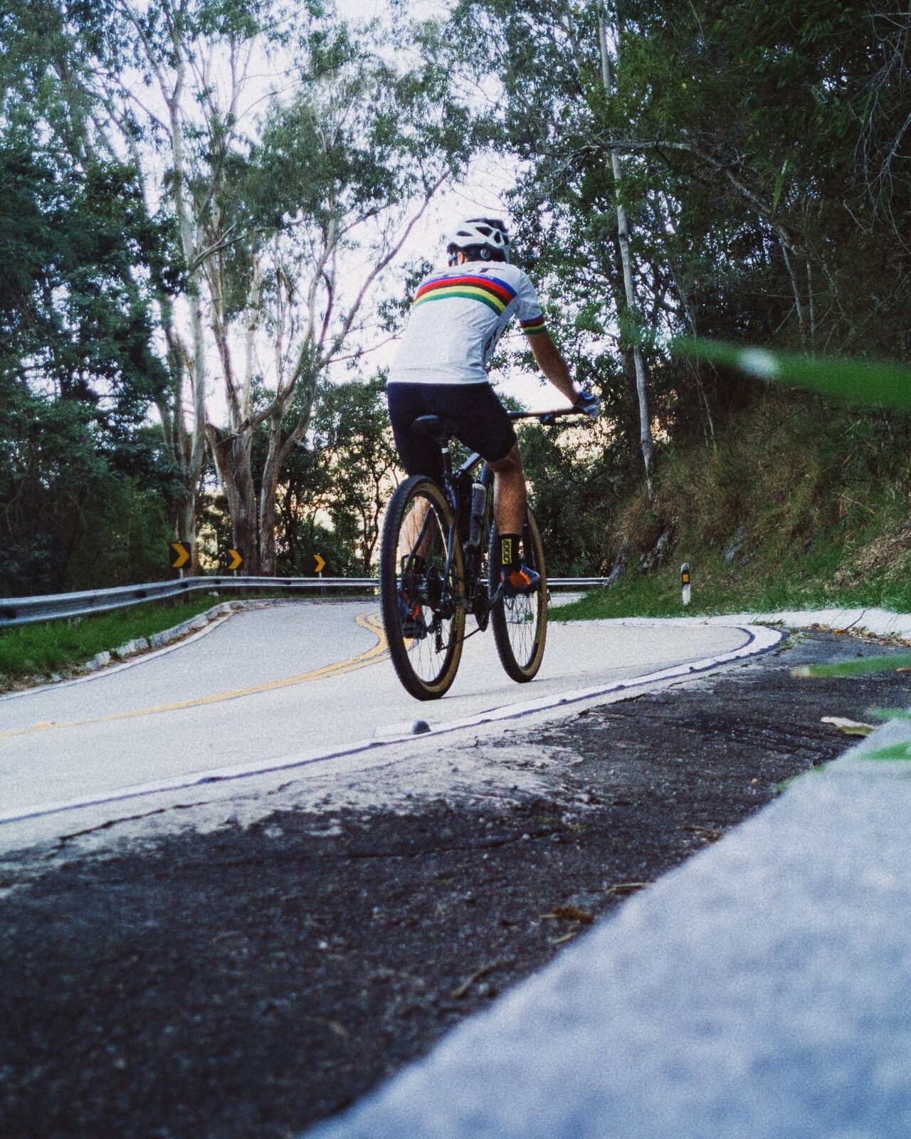 A cyclist photographed from behind riding uphill on a winding, tree-lined mountain road