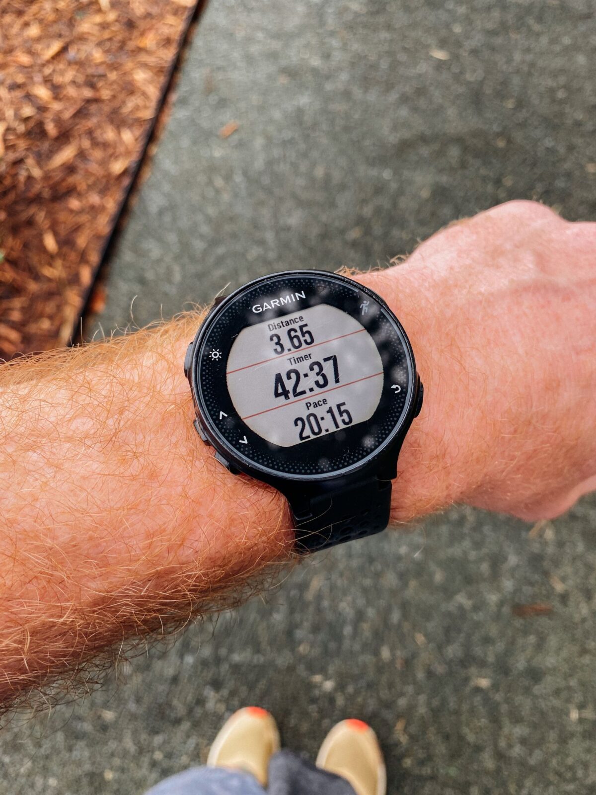 Apple Watch Series 11 vs. Galaxy Watch 8 vs. Garmin Venu 4: Which 2026 Smartwatch Actually Wins?