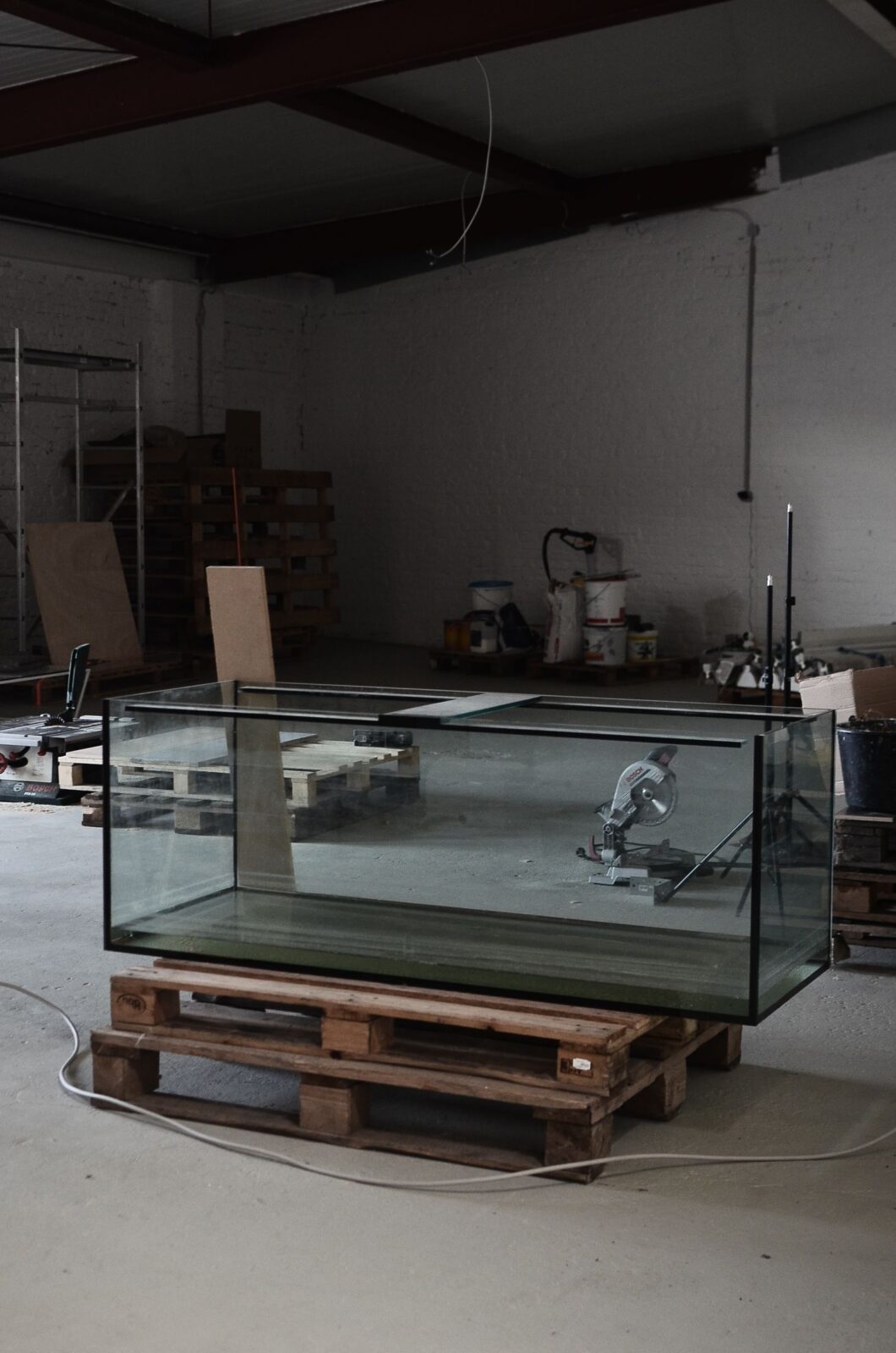 Preset or Adjustable? Choosing the Right Aquarium Heater for Your Tank