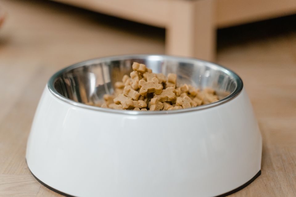 Vittles Vault vs. IRIS Airtight vs. Simplehuman: Keeping Kibble Fresh Without the Bugs