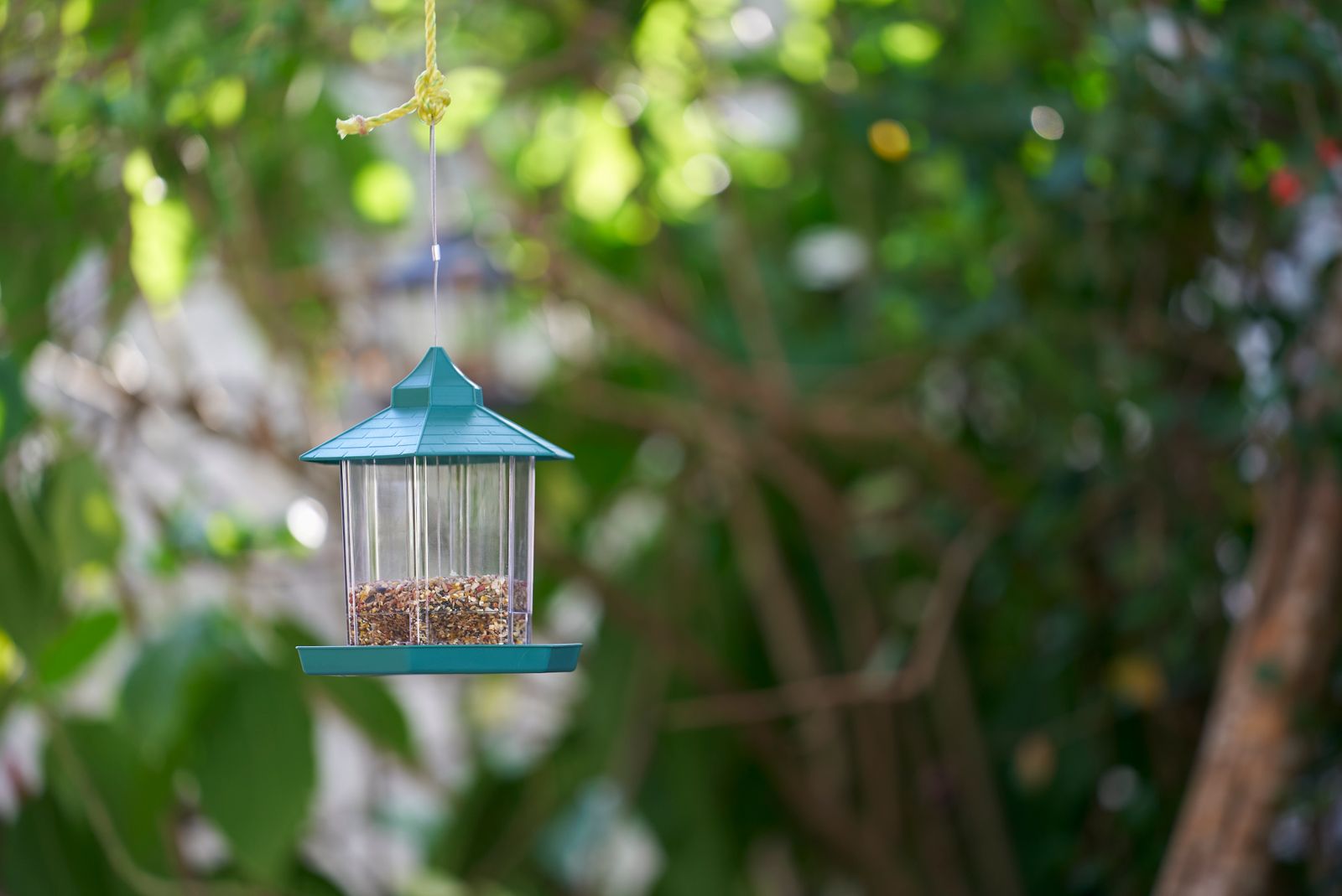 Squirrel-Proof Feeders, Judged by the Squirrels’ Win Rate