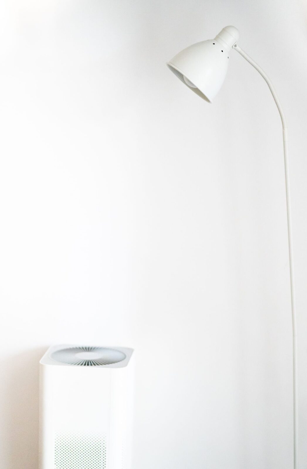 Dehumidifier vs Air Purifier: Which One Do You Need?