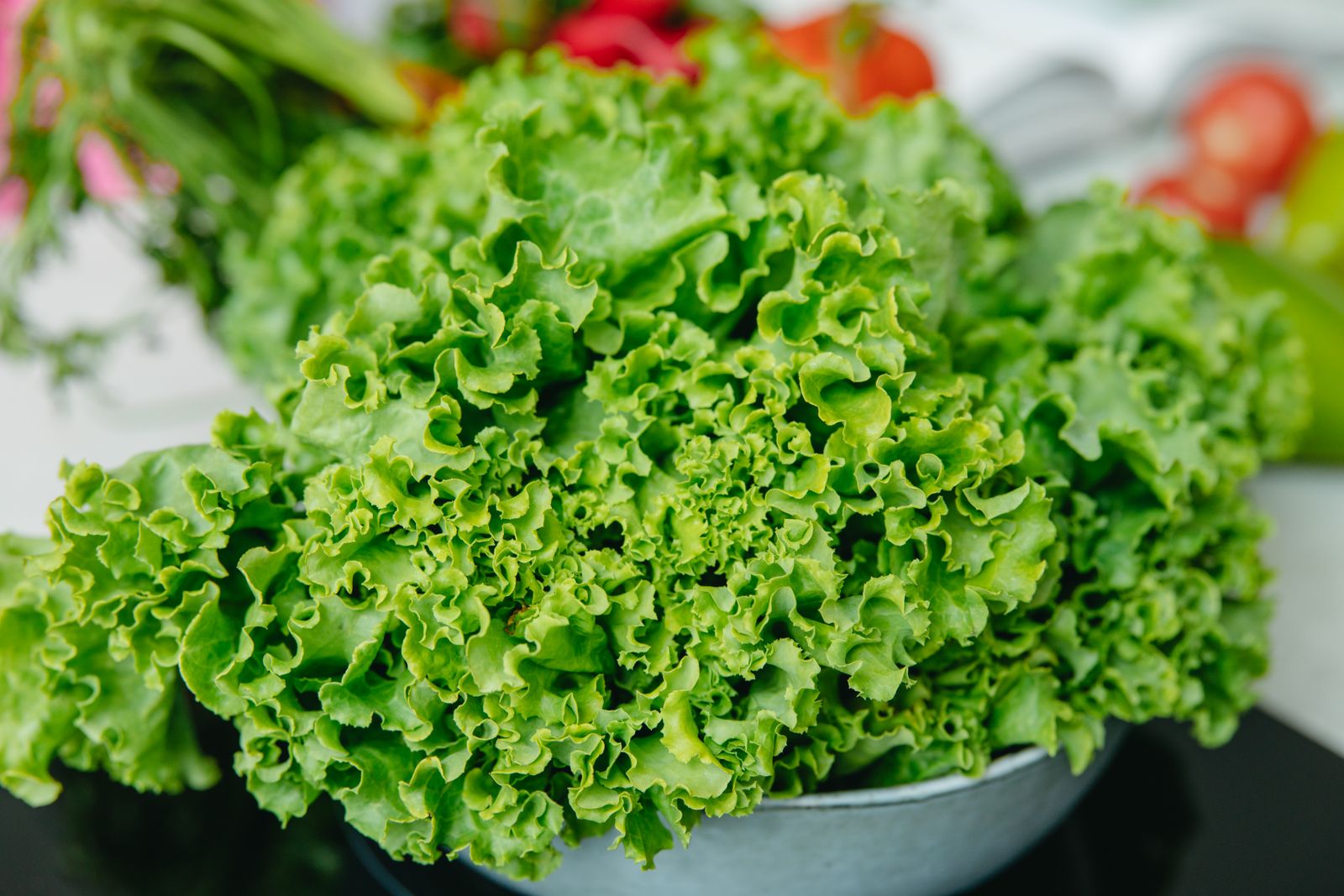 A bowl piled with ruffled green leaf lettuce on a kitchen counter