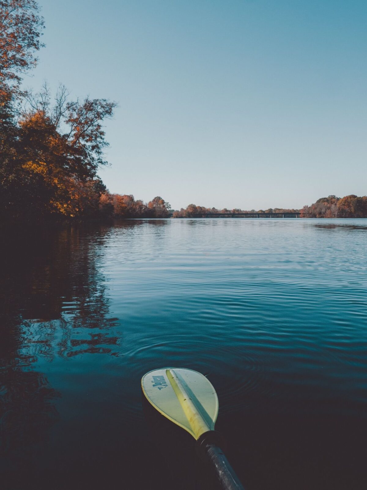 Fiberglass vs Carbon Kayak Paddle: Which Should You Buy?