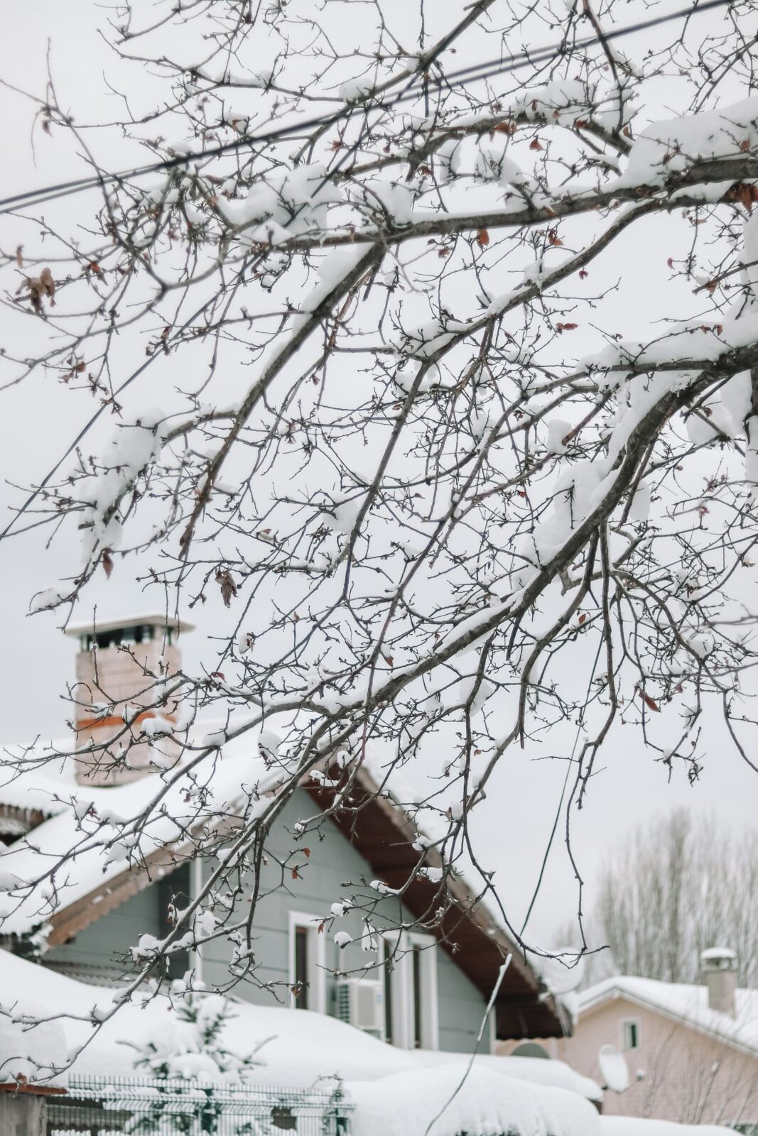 Snow piled on a pitched house roof and chimney seen through snow-covered tree branches