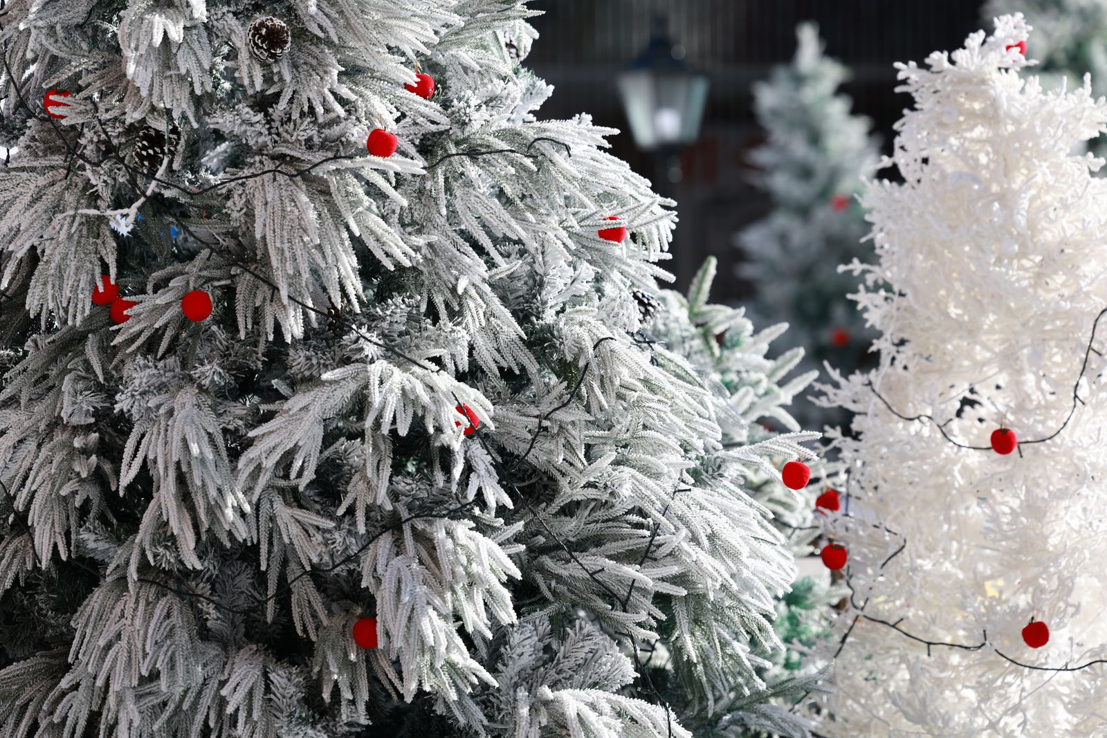 Close-up of frosted artificial Christmas tree branches with small red ball ornaments beside a white tree