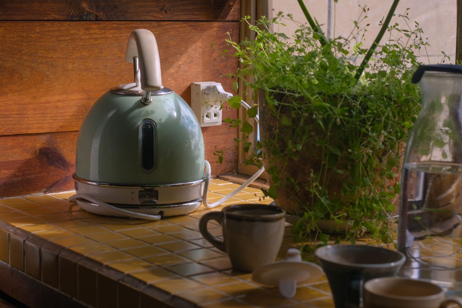 Light green electric kettle on a yellow tiled counter beside a potted plant