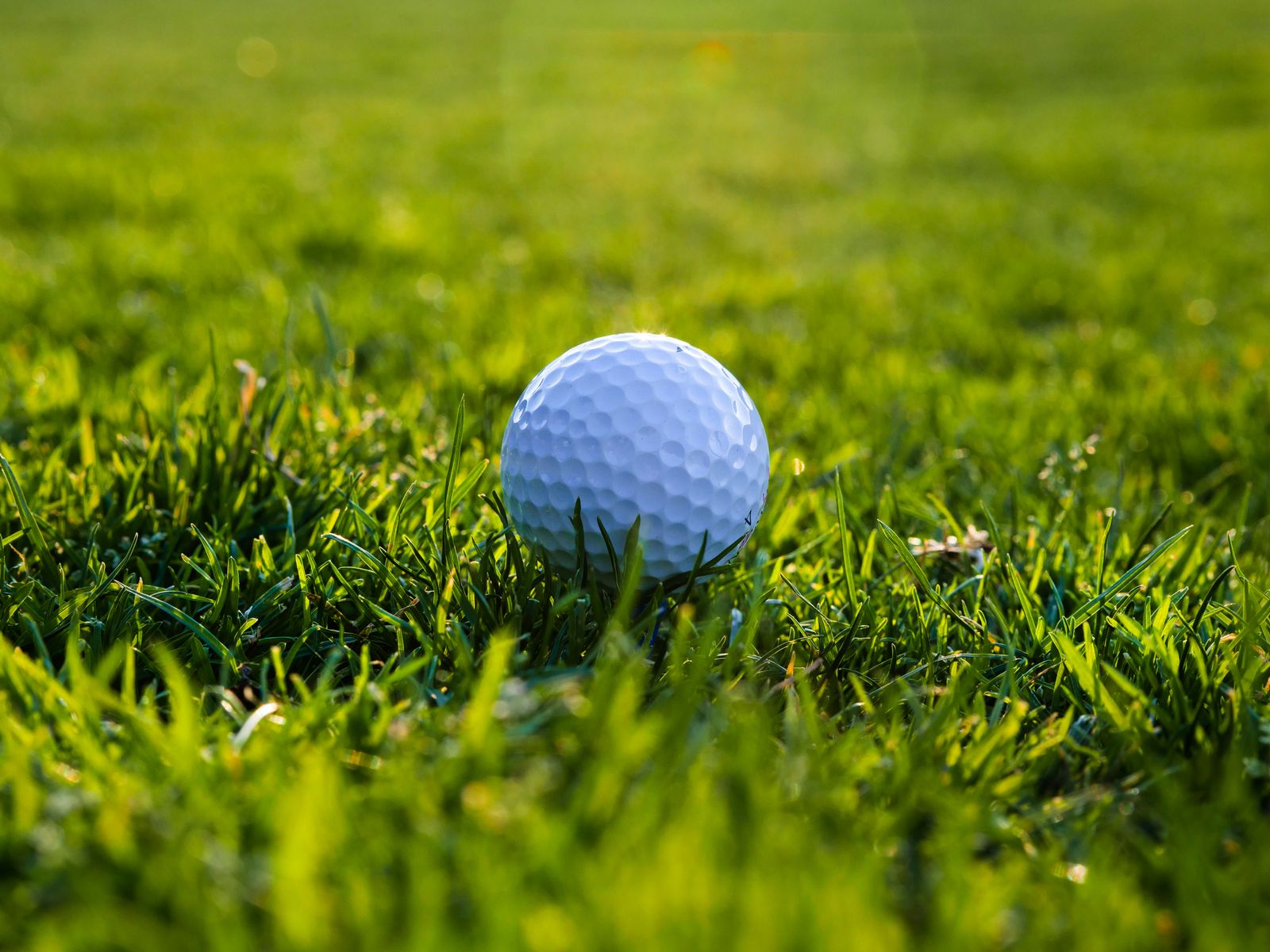 Gifts for Golfers: Best Picks at Three Budgets