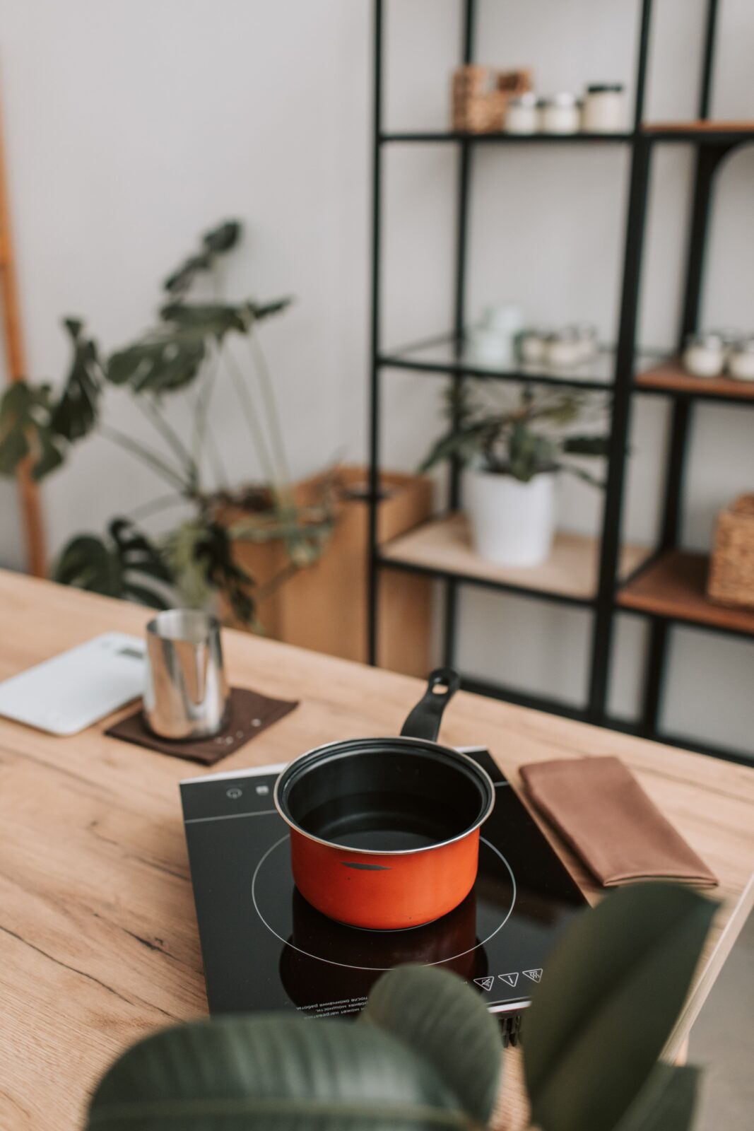 A red saucepan on a flat single-zone cooktop on a wooden table beside houseplants