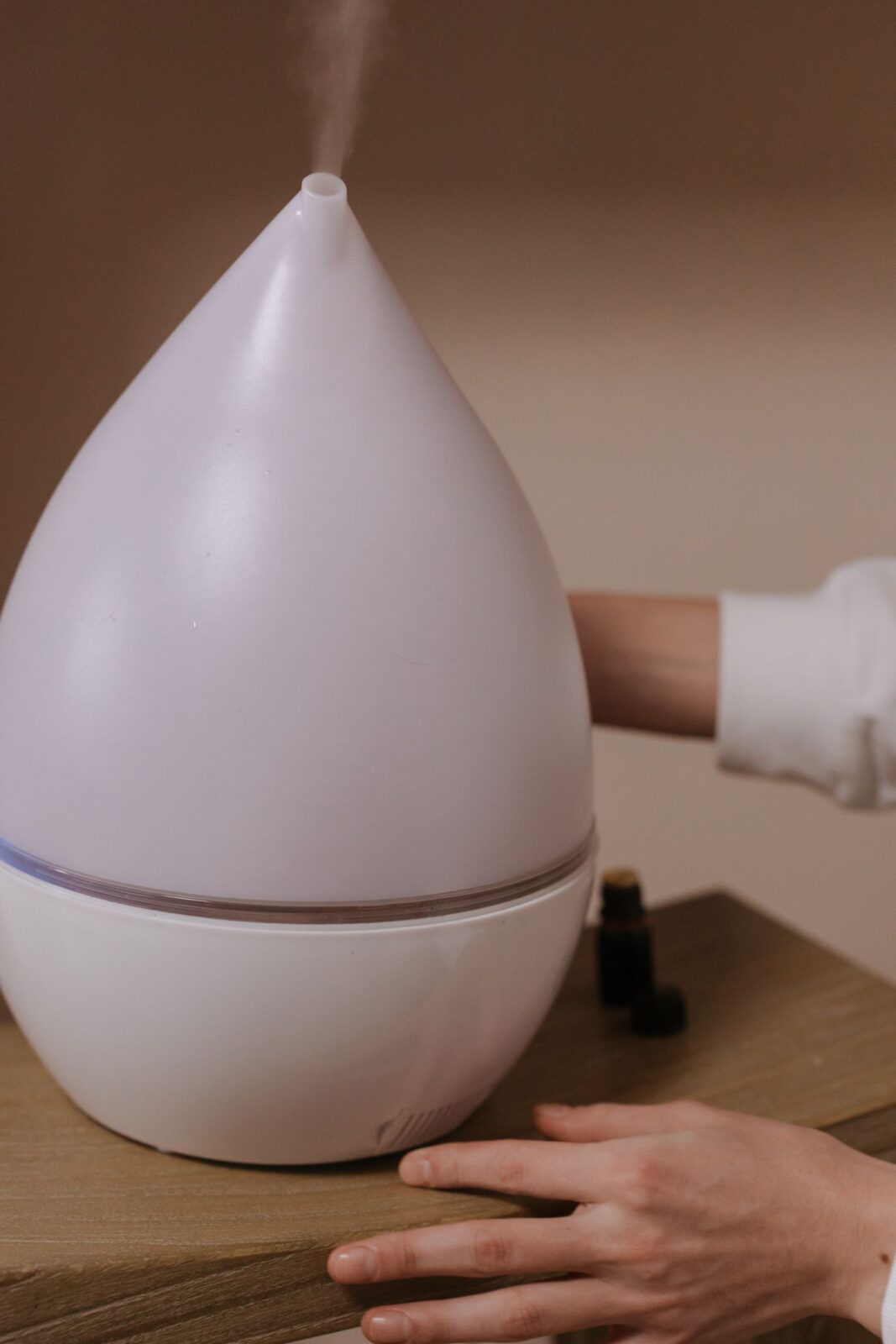 Humidifier vs Air Purifier