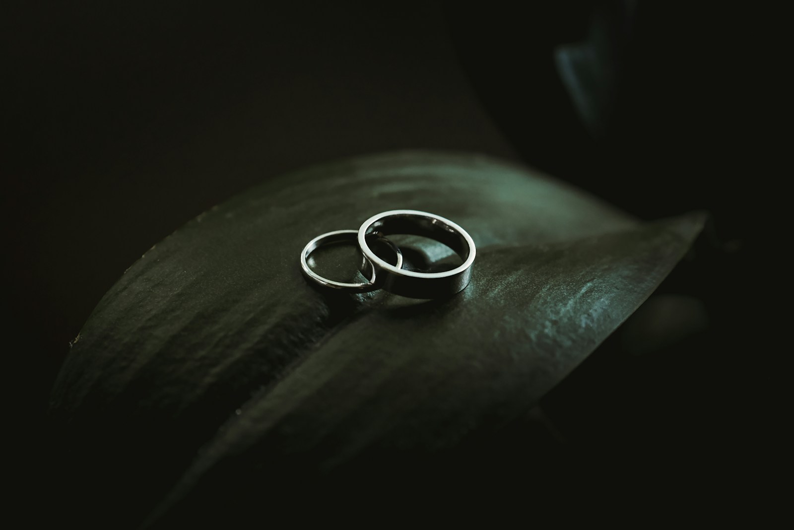Two plain silver-colored wedding bands stacked on a dark green leaf against a black background