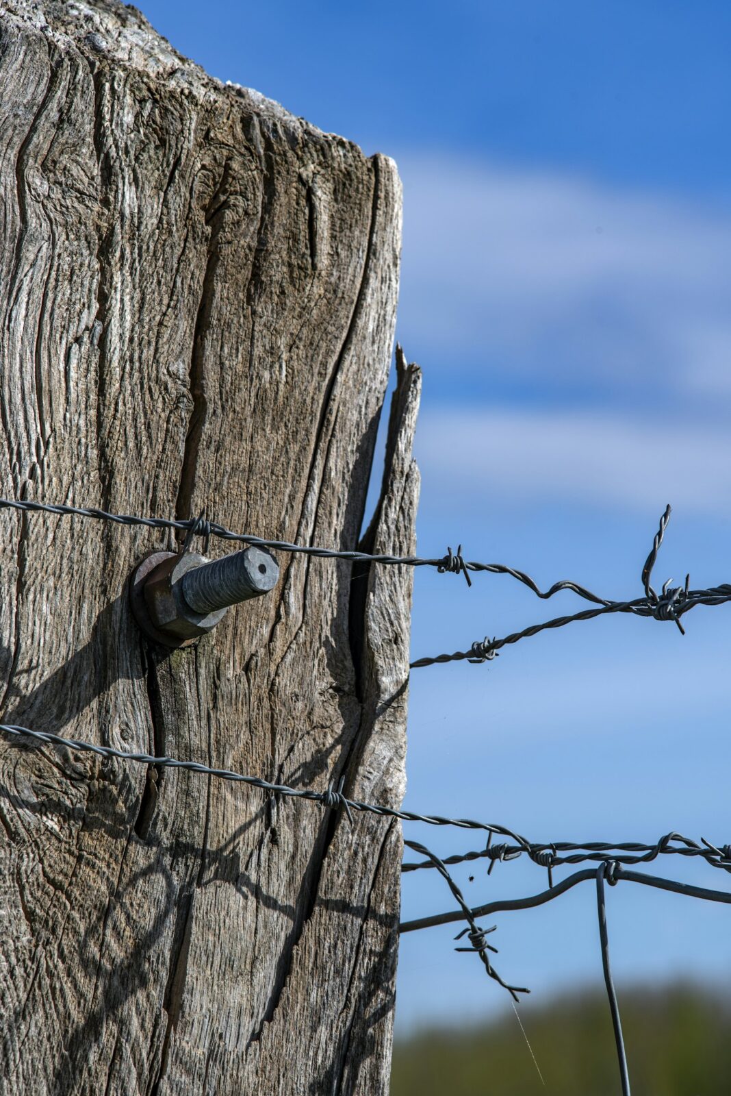Weathered wooden fence post with strands of barbed wire strung along it and a bolt, against a blue sky