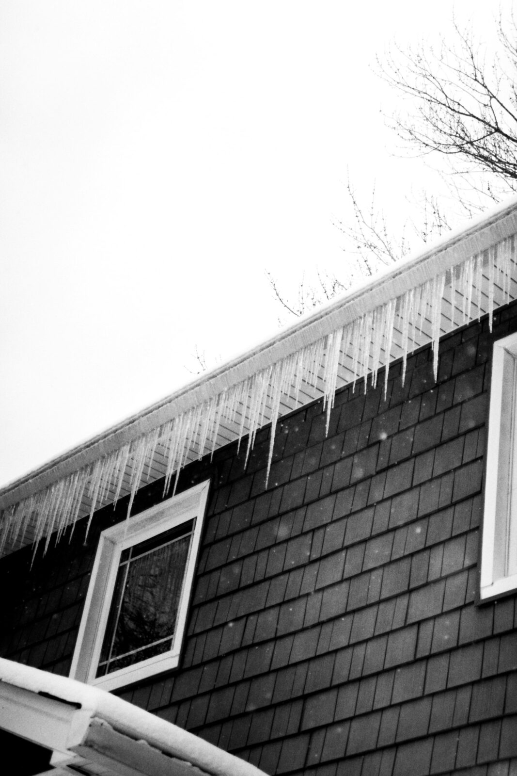 A row of icicles hanging from the gutter of a shingled house in black and white