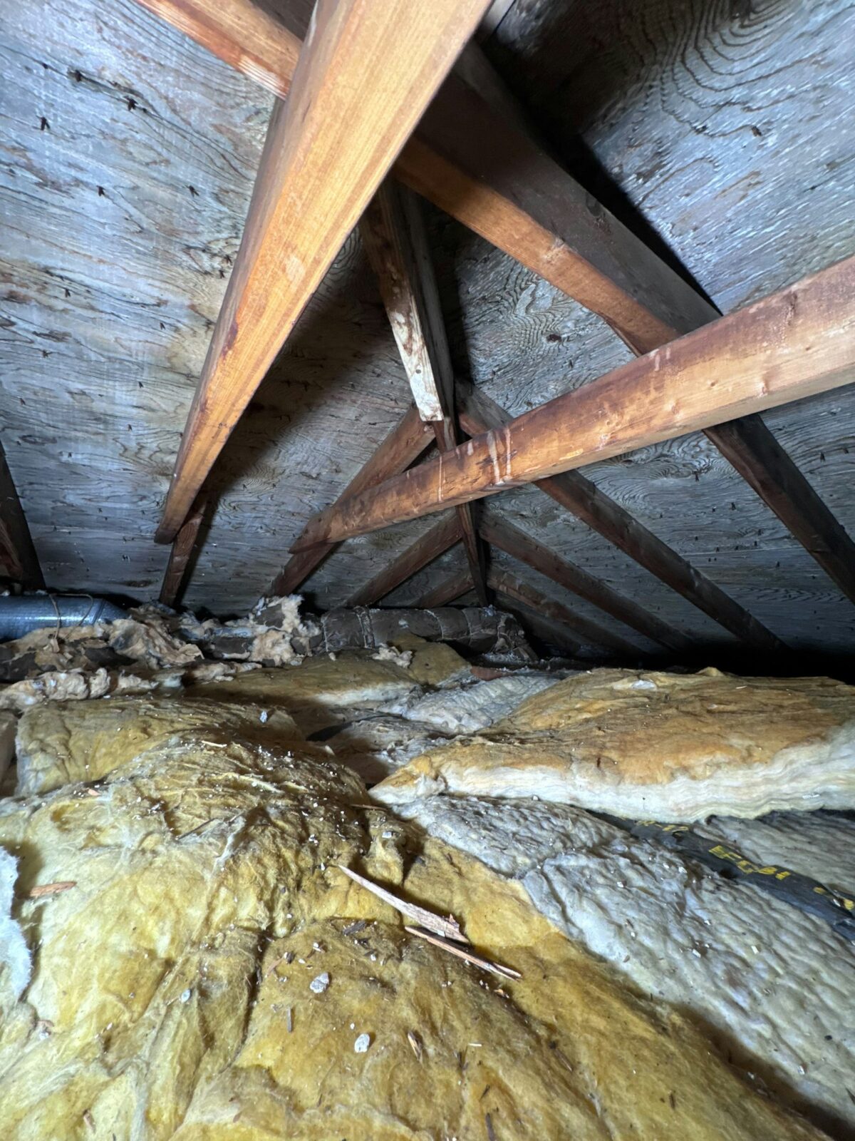 Yellowed fiberglass insulation lying uneven under wooden roof rafters in an attic